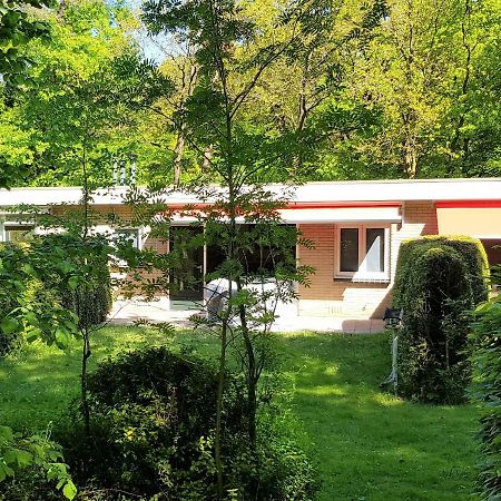 אוטרלו Knusse 5 Persoons Bungalow Hartje Veluwe מראה חיצוני תמונה