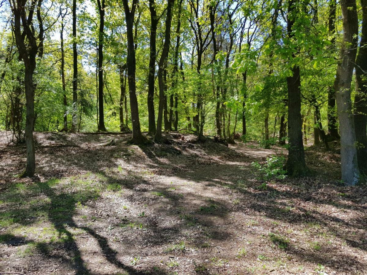 אוטרלו Knusse 5 Persoons Bungalow Hartje Veluwe מראה חיצוני תמונה