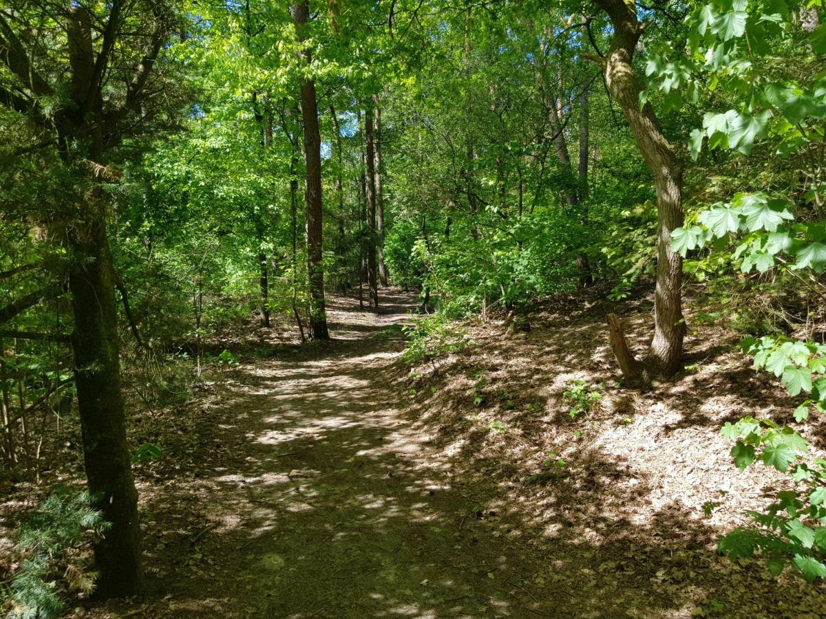 אוטרלו Knusse 5 Persoons Bungalow Hartje Veluwe מראה חיצוני תמונה