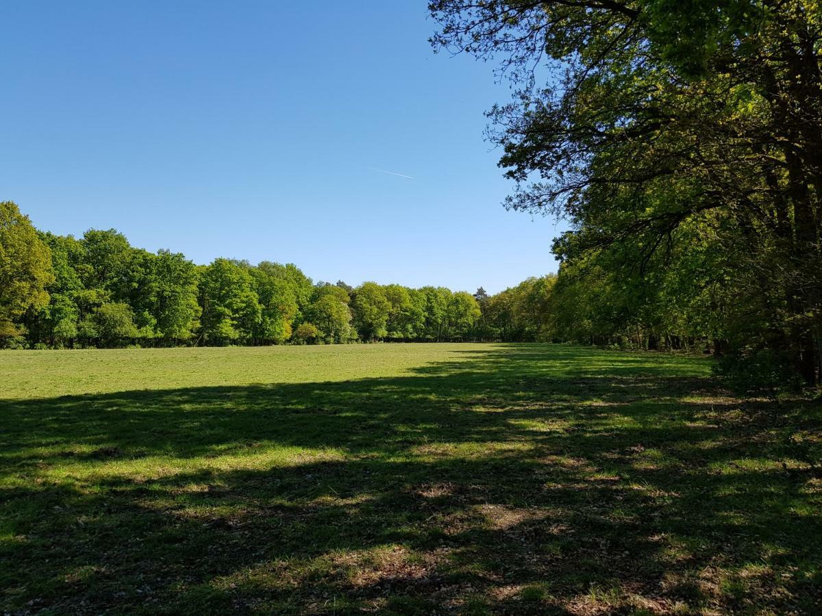 אוטרלו Knusse 5 Persoons Bungalow Hartje Veluwe מראה חיצוני תמונה